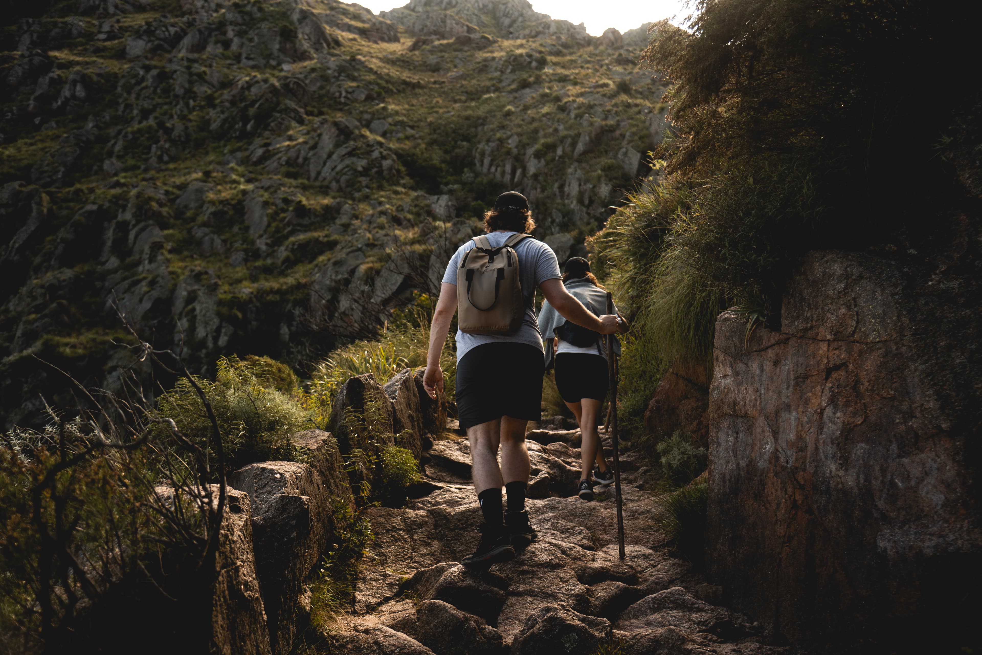 Excursión Diurna