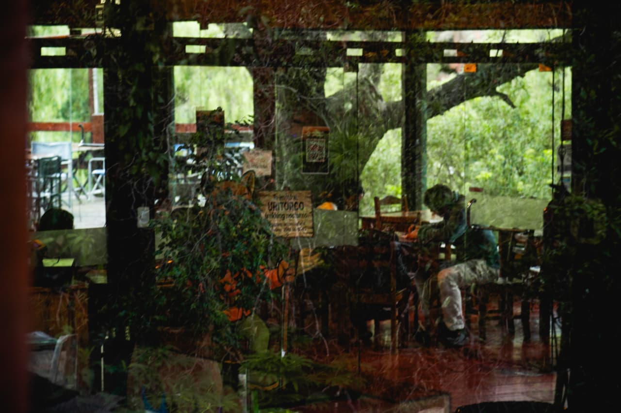 Interior rústico del restaurante entre plantas y madera