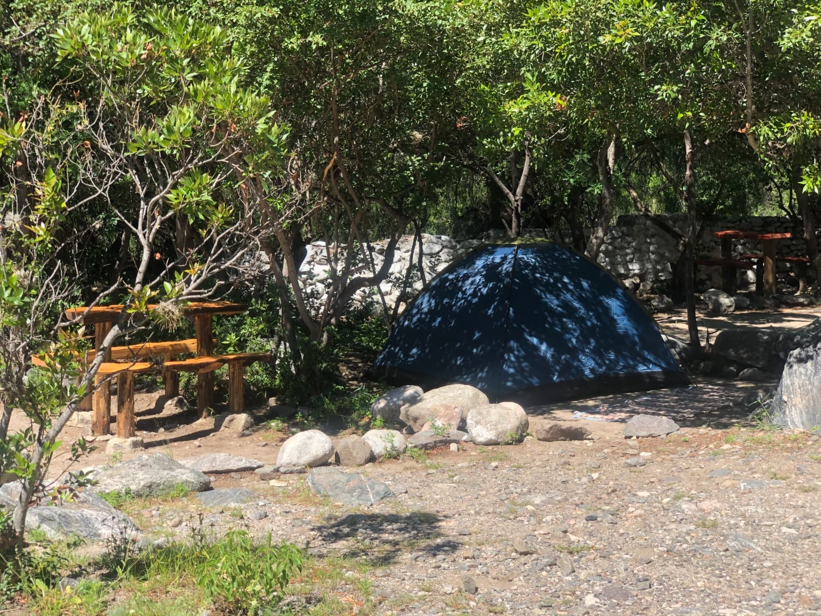 Parcela individual con carpa, mesa y parrilla