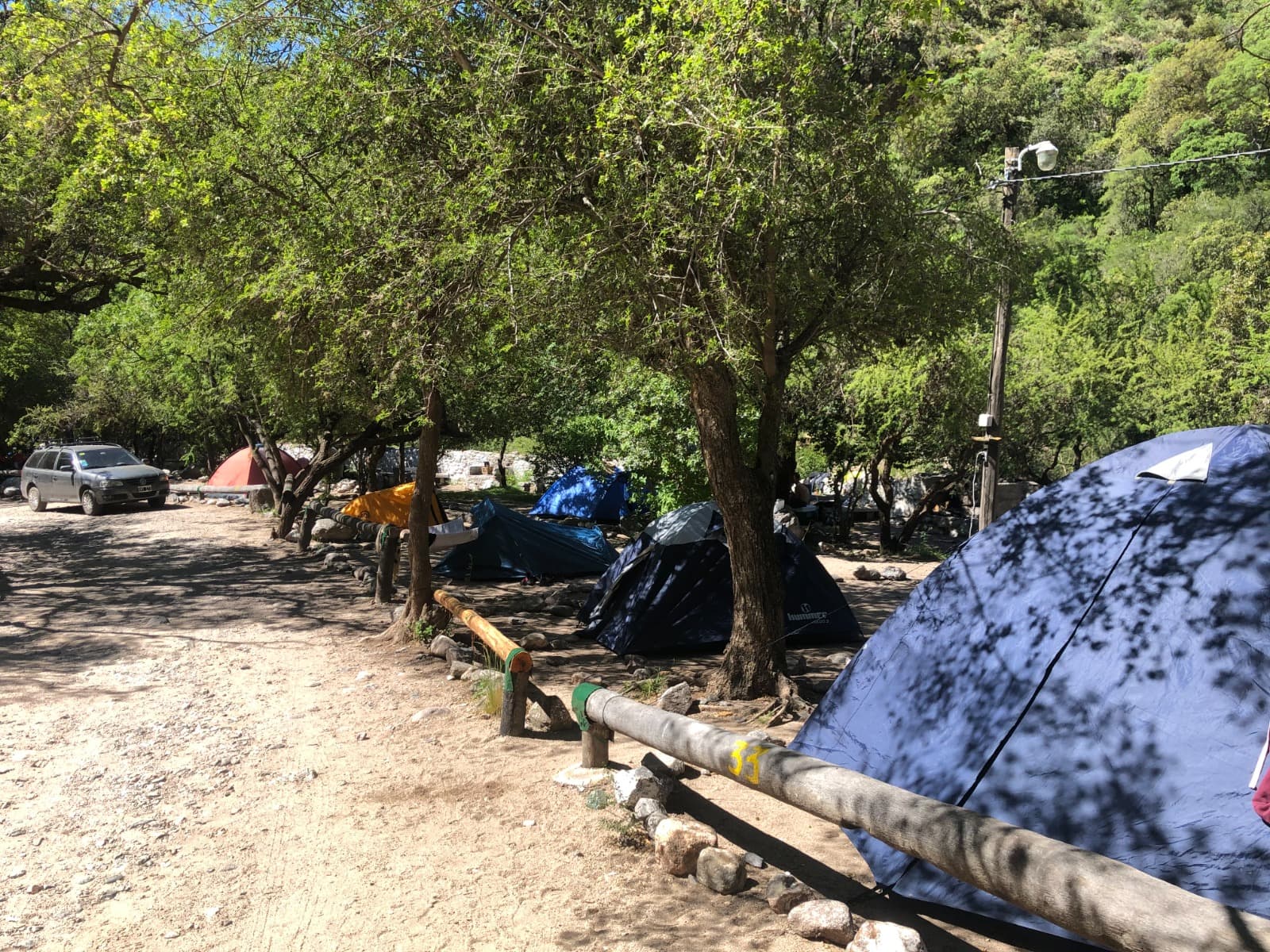 Sector de parcelas arboladas del camping